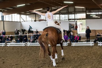 Bild 222 - Voltigierturnier
